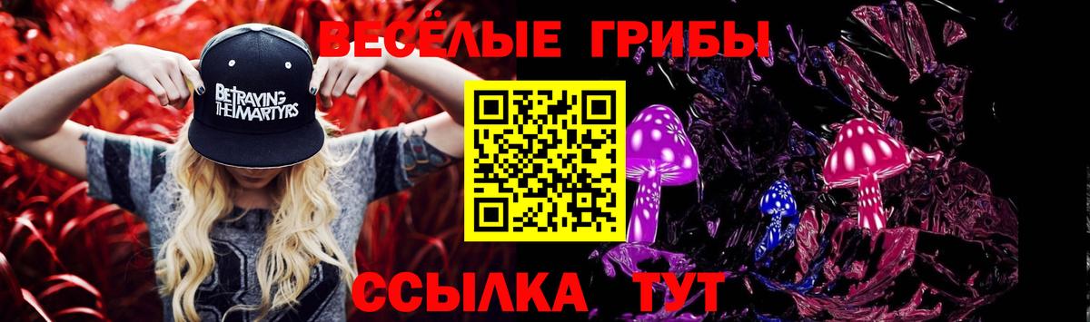 Псилоцибиновые грибы Psilocybine cubensis  Вход с VPN  Старая Купавна 